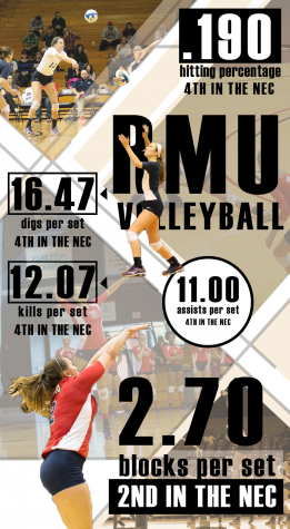 volleyball infographic.png