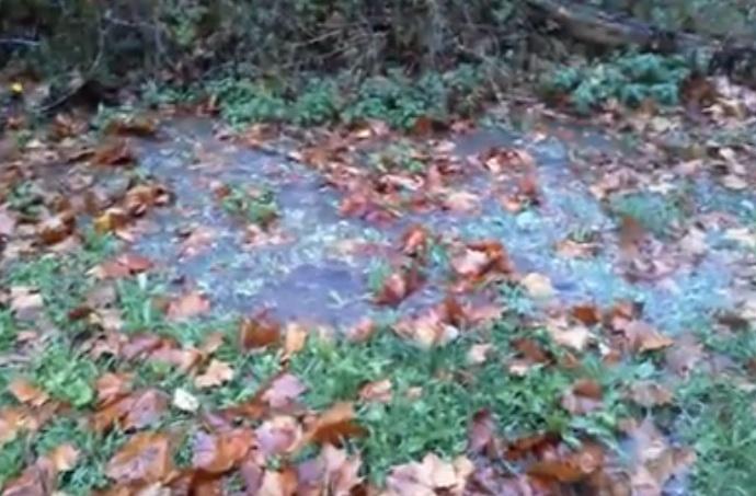 iWitness report: Water beginning to pond in yards