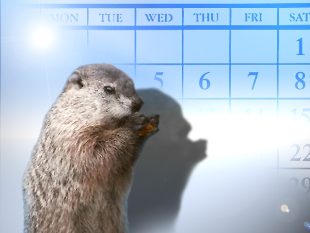 Punxsutawney Phil predicts early spring