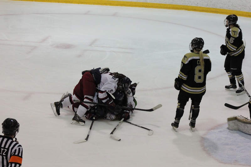 Women's Ice Hockey: Hard fought victory over Lindenwood