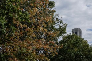 The trees begin to change on RMU's campus as fall sets in. 