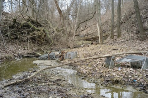 1.Visible in the shallow stream that flows between RMU’s Moon campus and Kmart, are the rotting remains of well over fifty shopping carts, in various stages of decay