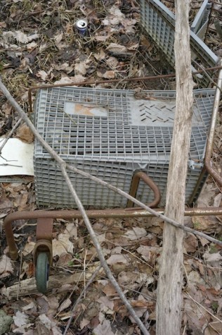 3.One of the many shopping carts buried in the mud, sporting the slightly faded red “K”