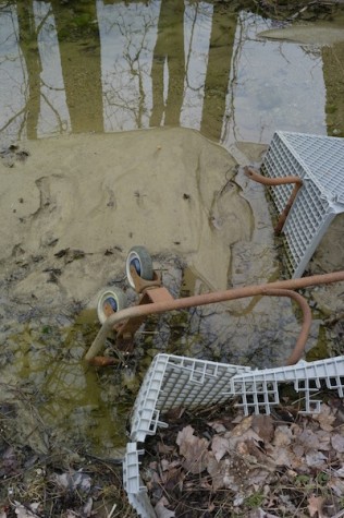 4.Two remnant portions carts that can be seen sinking into the muck and water