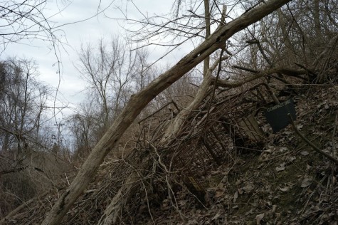 Looking up stream, more carts and a rotted out 55-gallon drum sit abandoned among other litter