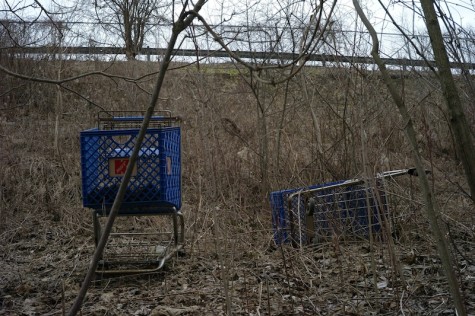 Climbing up towards the Kmart parking lot, two vibrant blue carts, one with only the wheels sunken down, are stagnant part way down the hill