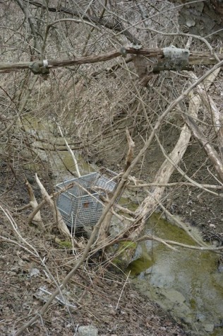 An older model cart sinking in a deep section of the stream