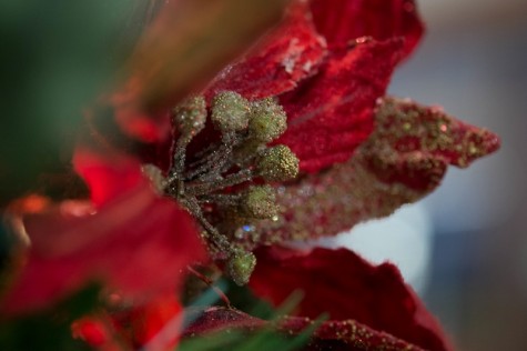 RMU: Last-minute DIY gift ideas for the Holiday season