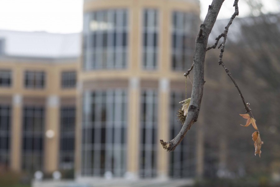 Fall Campus