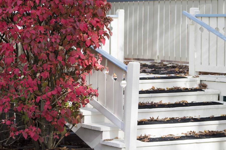 Fall Campus