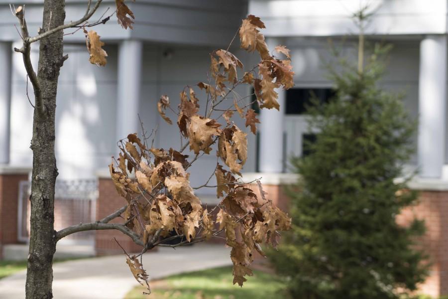 Fall Campus