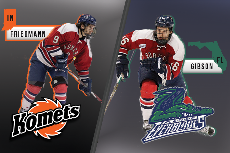 gibson, friedmann, hockey, men's hockey