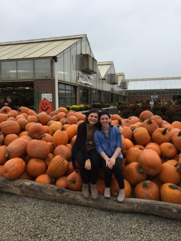 Halloween Pumpkins