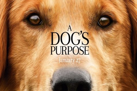 A Dog’s Purpose Review