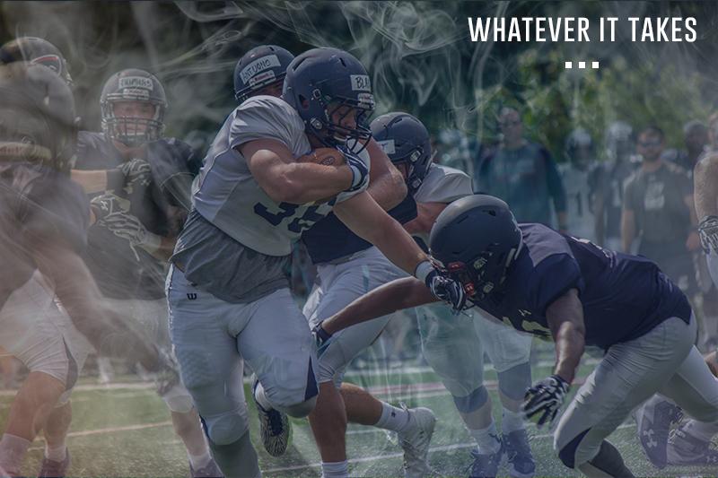 whatever it takes