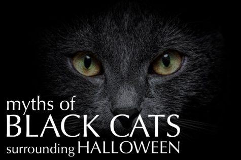 Debunking the myth of black cats