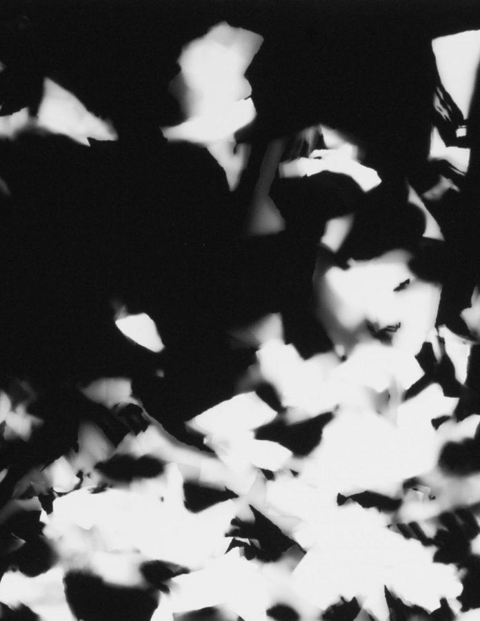 Legacy is one of the photographs created by singer Anqwenique Wingfield.