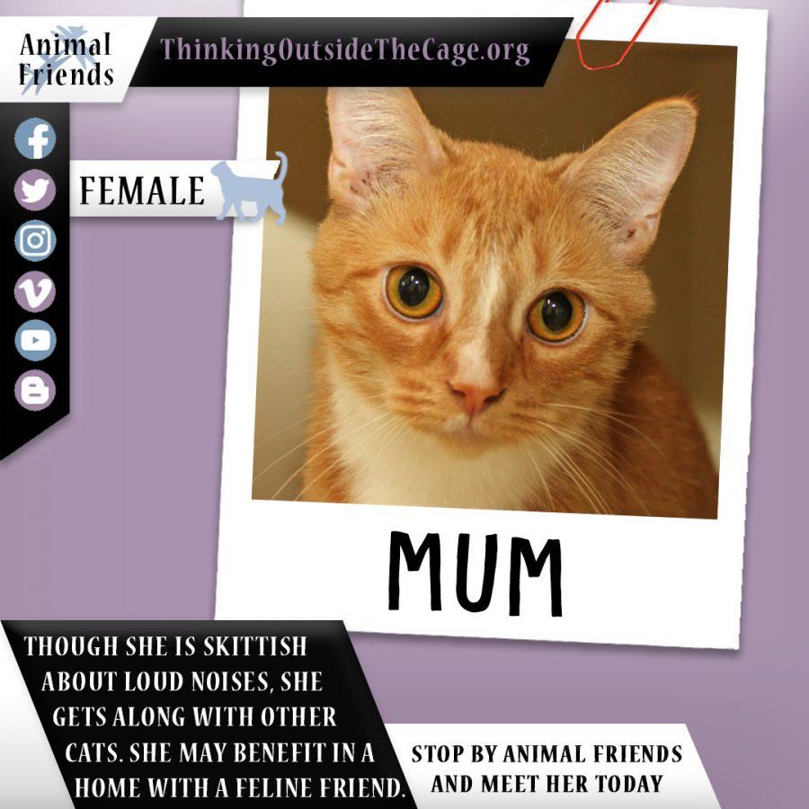 Pet of the Week: Mum