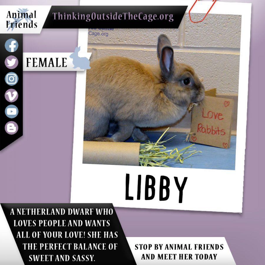 Pet of the Week: Libby