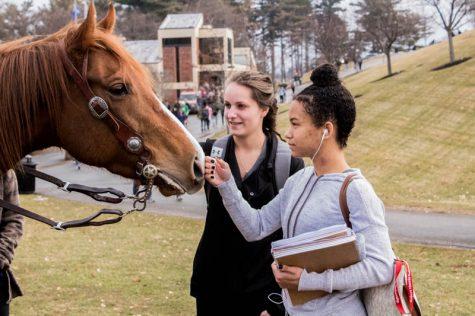 Internet-famous horse and owner visit RMU