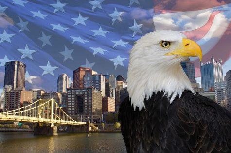 Third bald eagle hatches in Pittsburgh nest