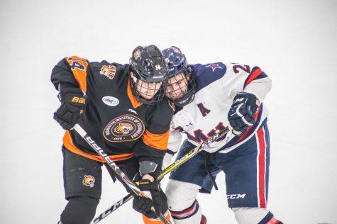 Colonials tame Tigers