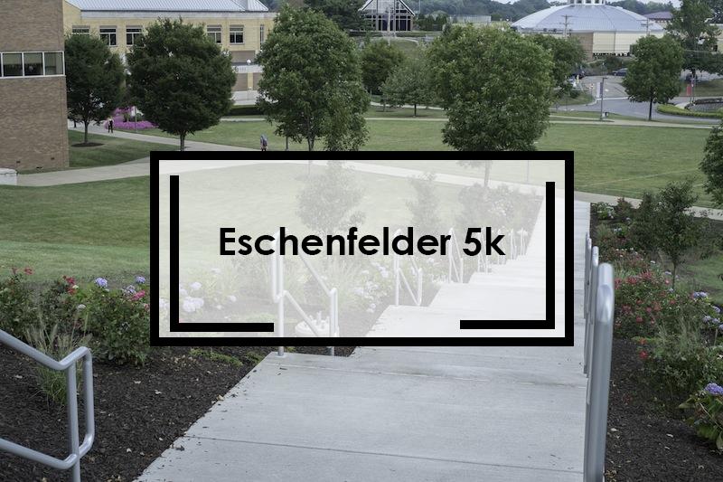 Eschenfelder