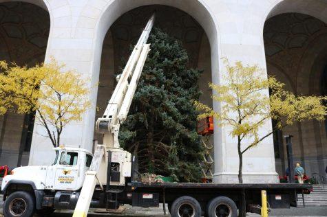 City-County Building Pittsburgh Christmas Tree