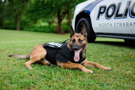 North Strabane K-9 back to work after life-threatening medical condition