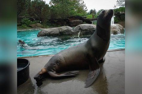 Photo Credit: (Pittsburgh Zoo & PPG Aquarium) 