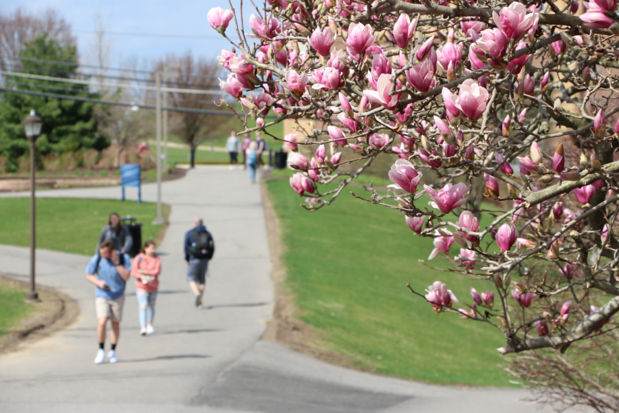 The campus of Robert Morris has plunged into spring, offering bright colors and beautiful weather to students across the university. Moon, PA. Tuesday, April 9, 2019. (RMU Sentry Media/Garret Roberts)