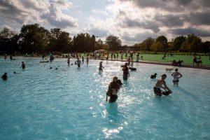 Dogs and their owners lounge in Settlers Cabin Park Wave Pool. Photo credit: Allegheny County Parks Department & Megan DeArmit