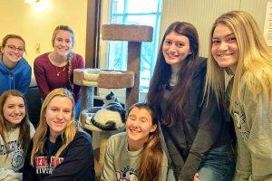 Several RMU students volunteered with Animal Advocates during the 2020 Day of Service.

Photo Credit: (Animal Advocates)