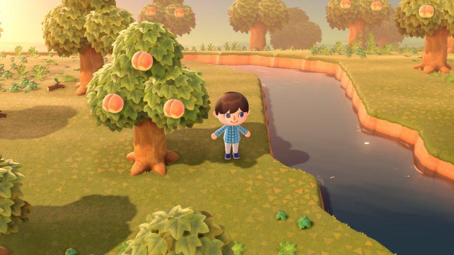 Animal Crossing: New Horizons released on March 20, 2020.