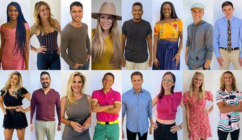 The Big Brother 22 Cast of Houseguests