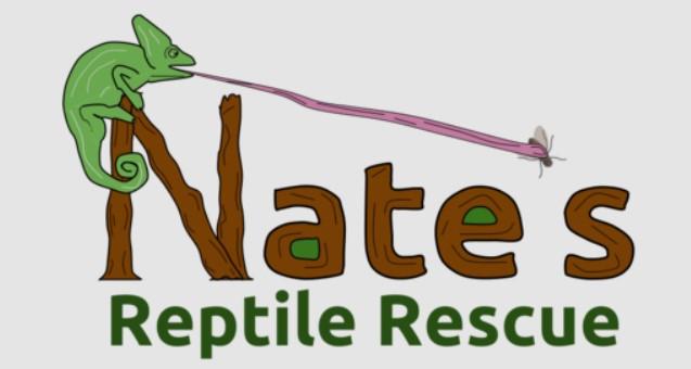 Photo Credit:  Nates Reptile Rescue