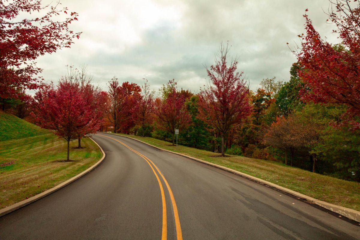 Colonial way during a beautiful fall day!