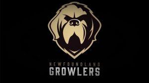Opinion: The Newfoundland Growlers Should Not Disband
