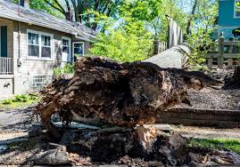Moon Township, RMU Suffer Widespread Power Outage