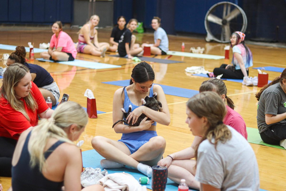 Paws & Poses With PRSSA: Photo Gallery